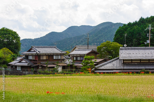 Rural landscape. Beautiful Japanese traditional houses and fields. Kyoto, Japan.