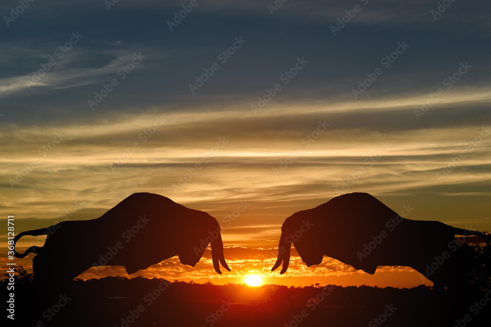 Silhouette of two bullsfighting on top of a mountain with sunset in the background.
