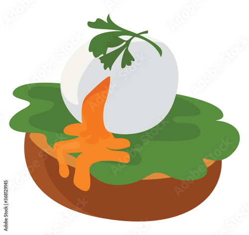 Poached egg, illustration, vector on white background