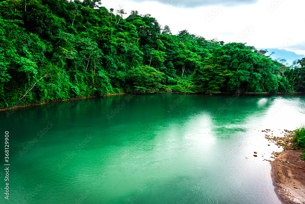 Tropical forest river