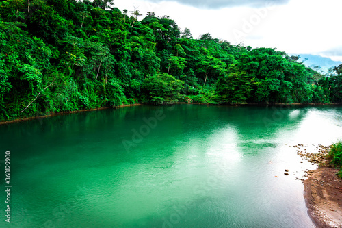 Tropical forest river