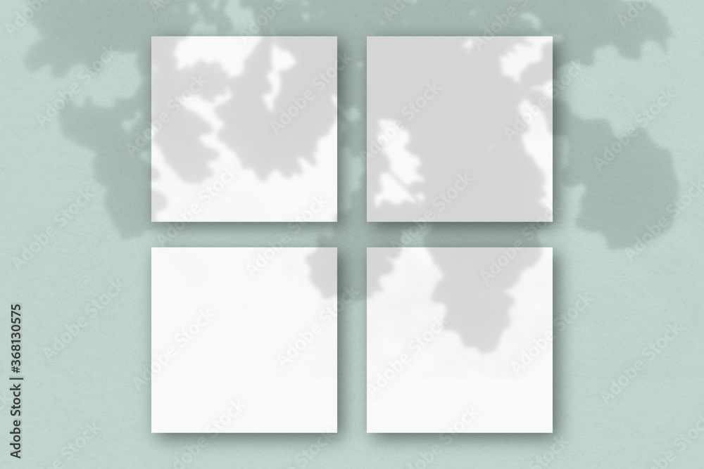 4 square sheets of white textured paper on the blue wall background. Mockup overlay with the plant shadows. Natural light casts shadows from the oak leaves. Flat lay, top view