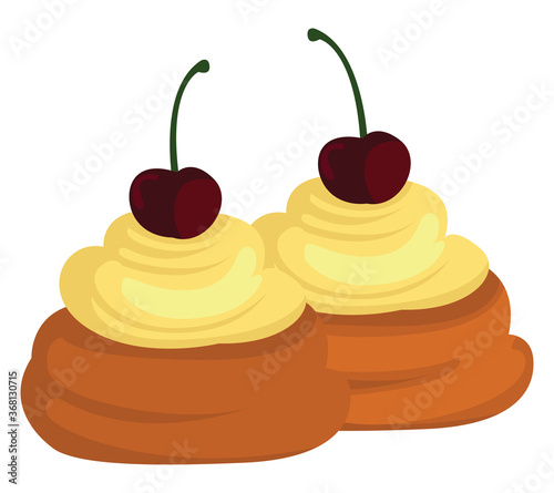 Zeppole delicious food, illustration, vector on white background