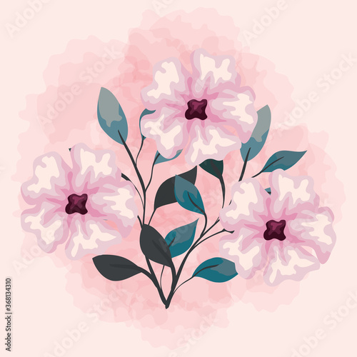 Fototapeta Naklejka Na Ścianę i Meble -  flowers pink color, branches with leaves, nature decoration vector illustration design