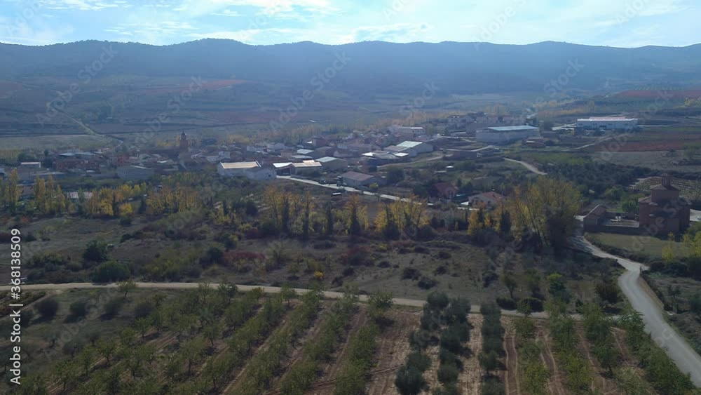 vineyards of La Rioja Spain in autumn time, with the village that welcomes them.