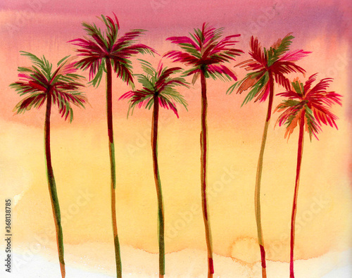 Palm trees on the beautiful sunset sky background. Ink and watercolor drawing