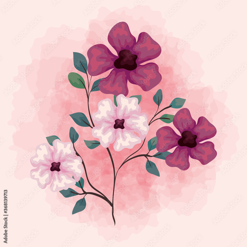 flowers purple and pink color, branches with leaves, nature decoration vector illustration design