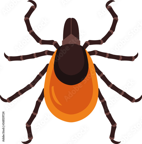 Mite. Insect parasite isolated on white background. Vector illustration