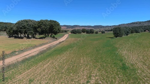 bird's eye view of green meadows and trees between mountains.drone concept