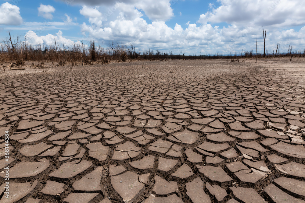 Fototapeta premium Earth ground crack with dust and rough dry surface texture ,Drought land lack of water. Global warming and greenhouse effect concept.