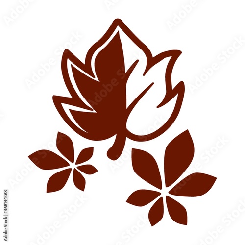 leaves