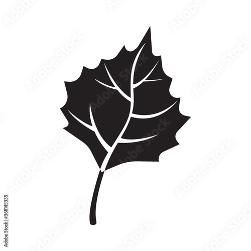 maple leaf