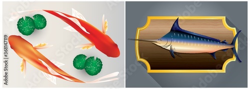 koi fish and swordfish