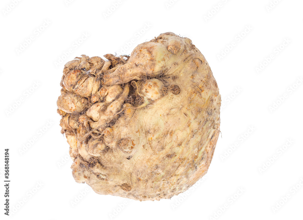 Fresh celery root isolated on white background. Fresh celery root isolated on white background.