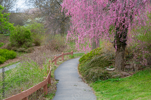 footpath in the park, spring in Rochester NY 