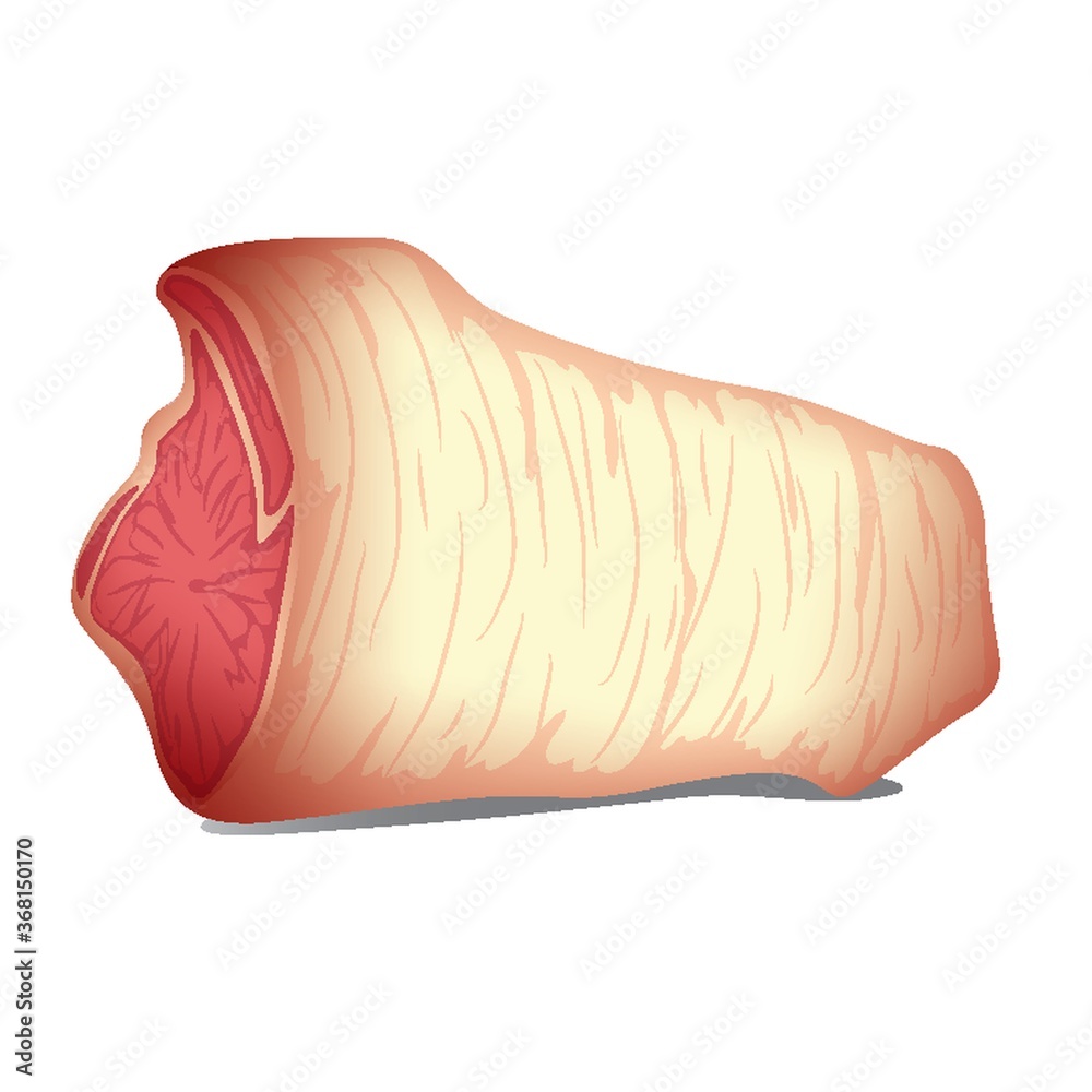 meat meat