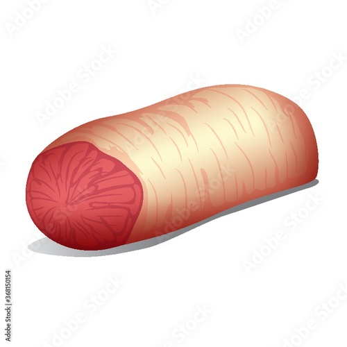 meat
