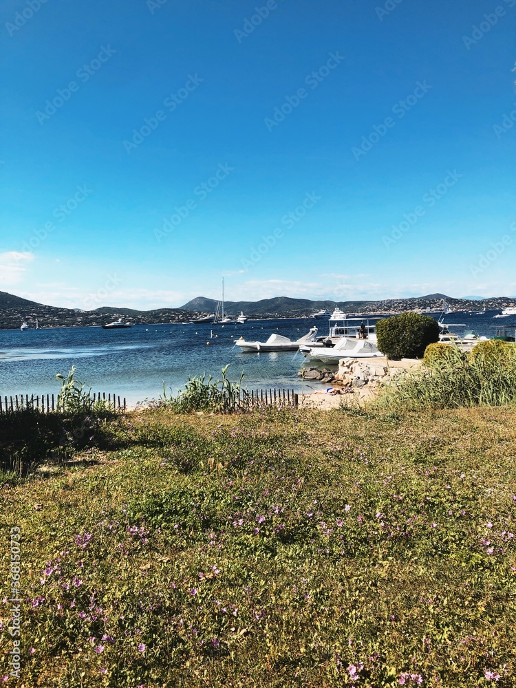 Fototapeta premium view of bay in Monaco, Monte Carlo, nature, seaside, coastal town, cote d'azur