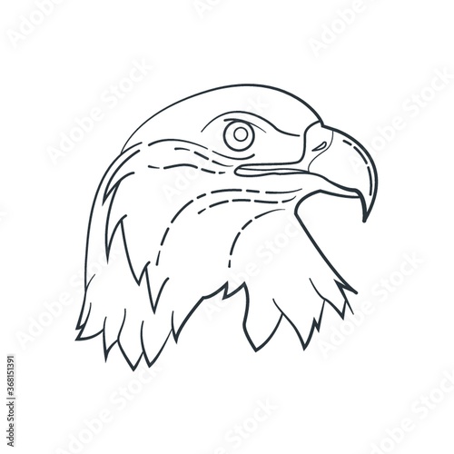 bald eagle