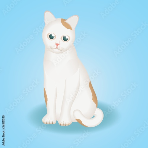 cat