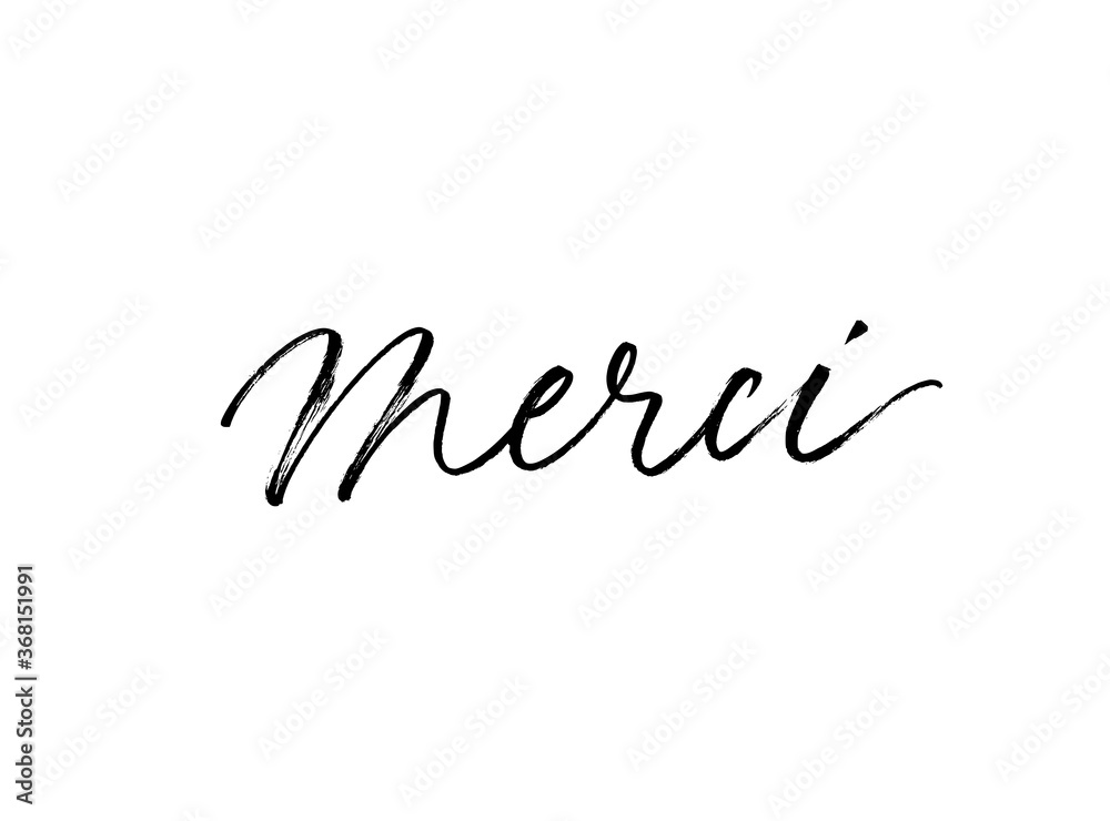 Merci ink brush vector lettering. Thank you in French. Modern phrase handwritten vector calligraphy. Black paint lettering isolated on white background. Postcard, greeting card, t shirt print.