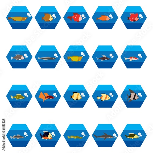 collection of fishes