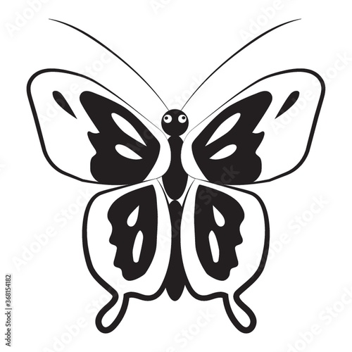 butterfly