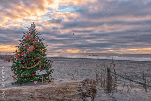 decorated christmas tree on beach 