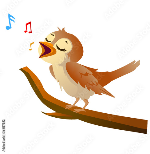 nightingale bird on a branch