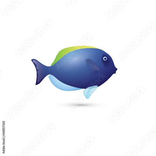 blue fish