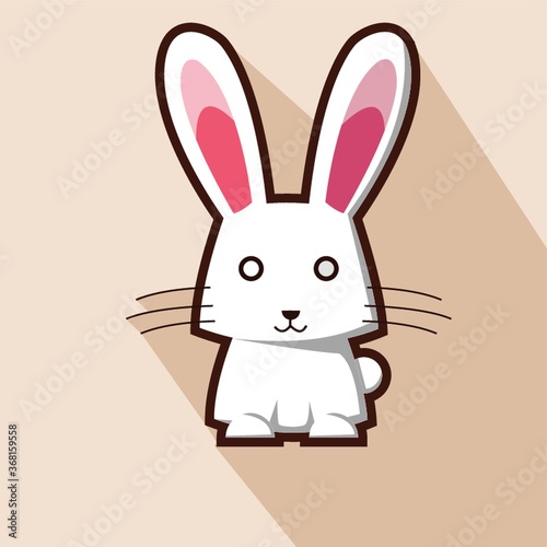 rabbit