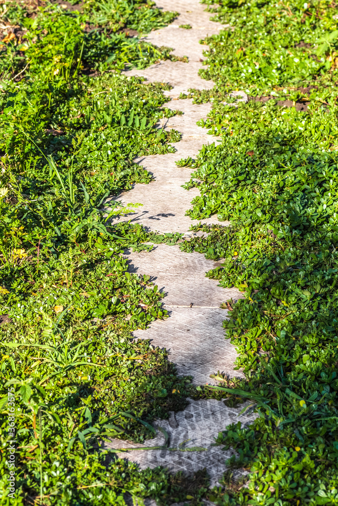 Beautiful path through the green lawn in the park. Beautiful path through the green lawn in the park.