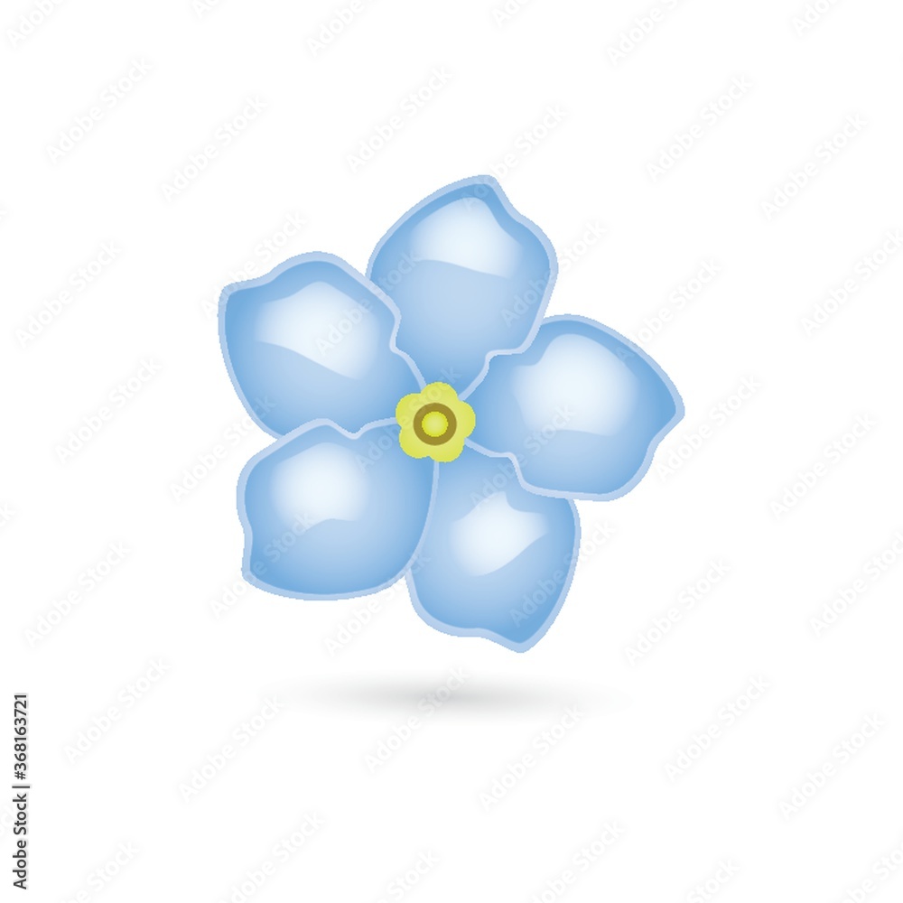 flower flower