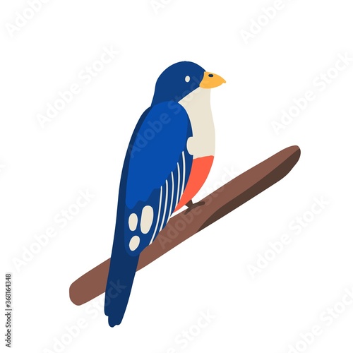 Traditional Cuban animal or tropical bird, trogon sitting on branch. Exotic small jungle birdie tocororo, symbol of freedom. Flat vector cartoon illustration isolated on white background