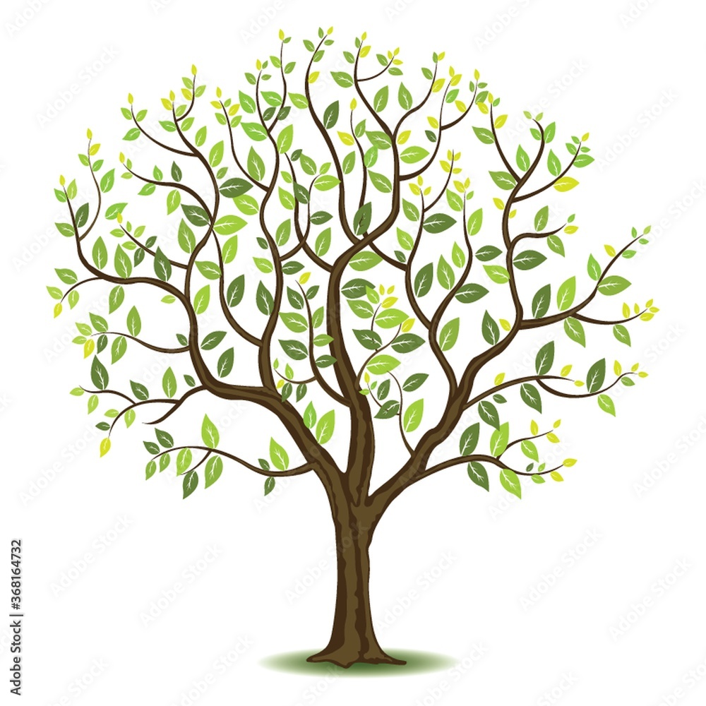 tree with green leaves