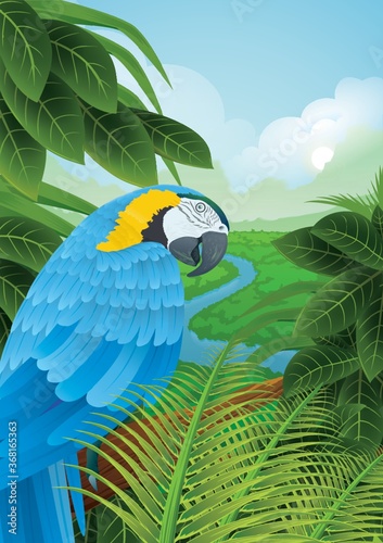 parrot in a rainforest