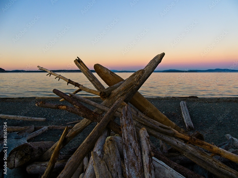 Driftwood on Island View Beach, Vancouver Island BC Driftwood on Island View Beach, Vancouver Island BC