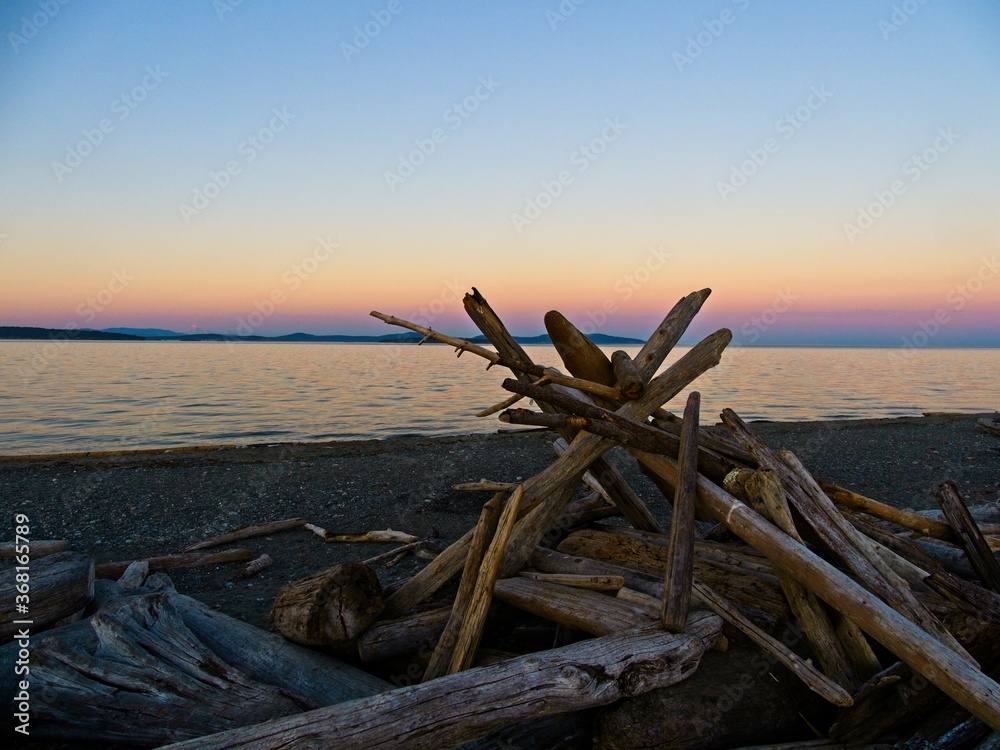 Fototapeta premium Driftwood on Island View Beach, Vancouver Island BC