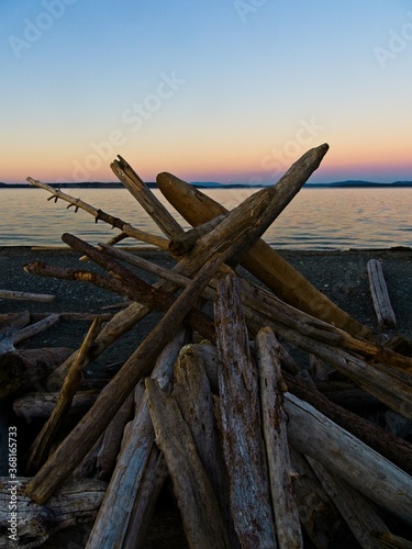 Driftwood on Island View Beach, Vancouver Island BC © pr2is
