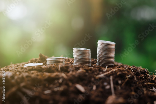 Coins are arranged in an income graph. Pasted on the ground with a green nature background