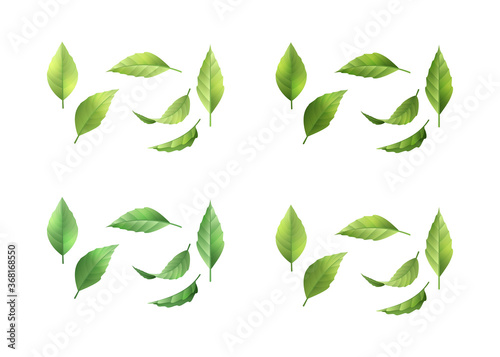 Collection of green leaves