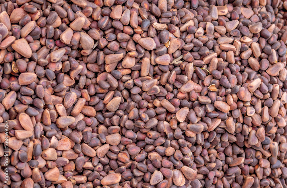 Solid background of fresh ripe and natural cedar seeds Solid background of fresh ripe and natural cedar seeds
