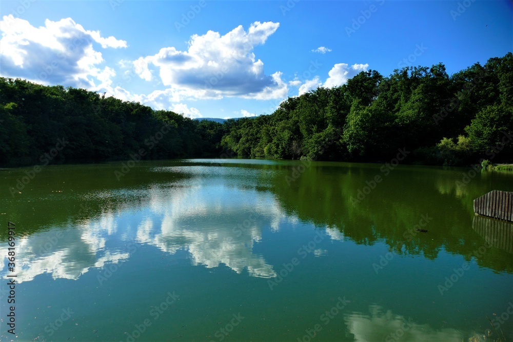 Lake scenery horizon with trees, clouds and water reflection