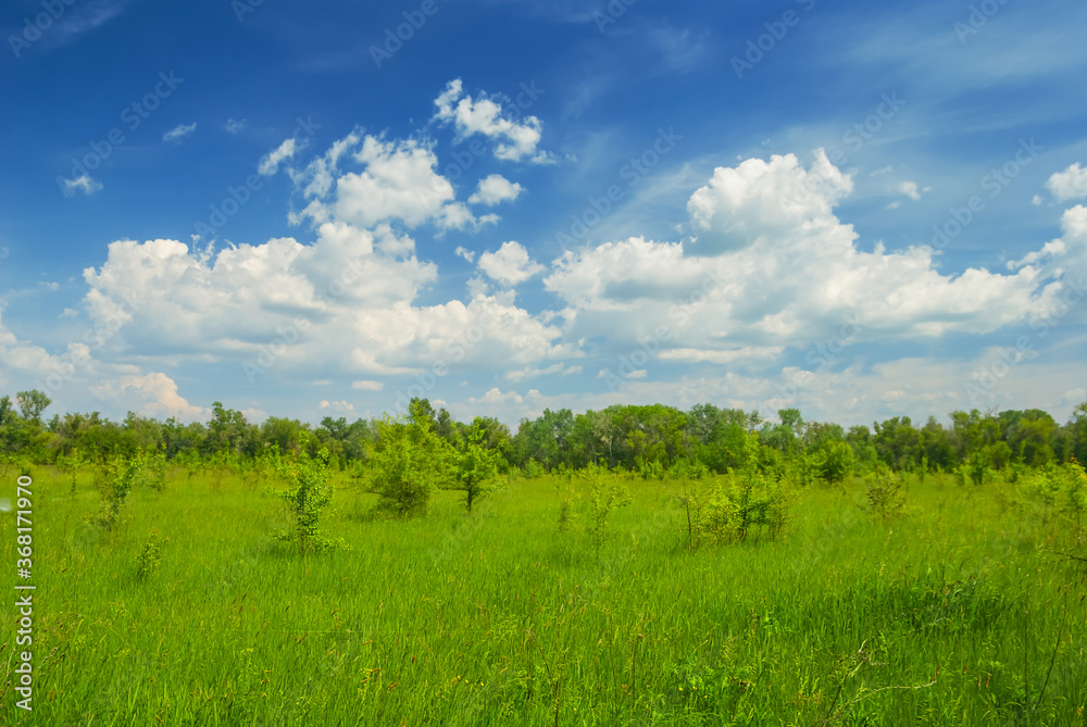 green wide summer prairie under a dense cloudy sky