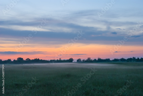 rural field in a mist at the twilight