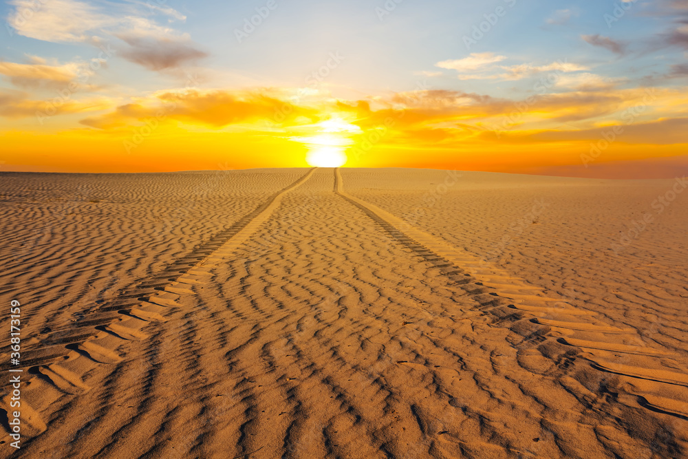 Naklejka premium road through a sandy desert at the sunset