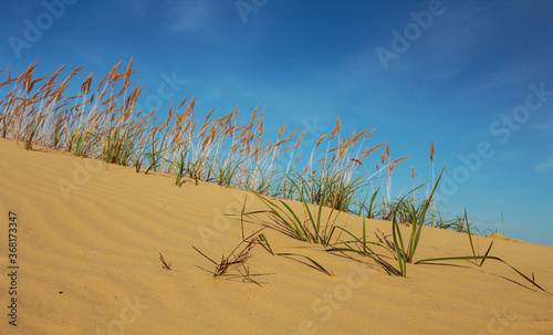 sandy prairie hill slope on a blue sky background