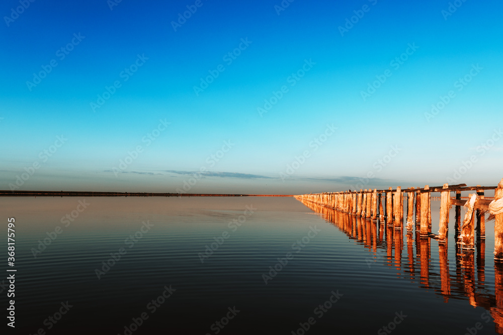 sky with reflections in pink salt lake with wooden trunks