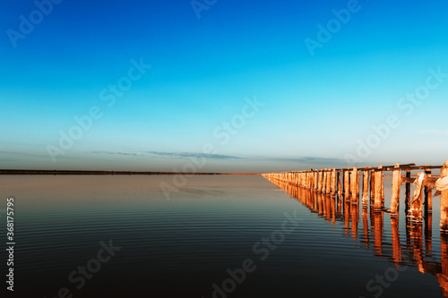 sky with reflections in pink salt lake with wooden trunks