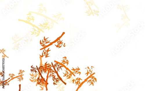 Light Orange vector natural backdrop with branches.